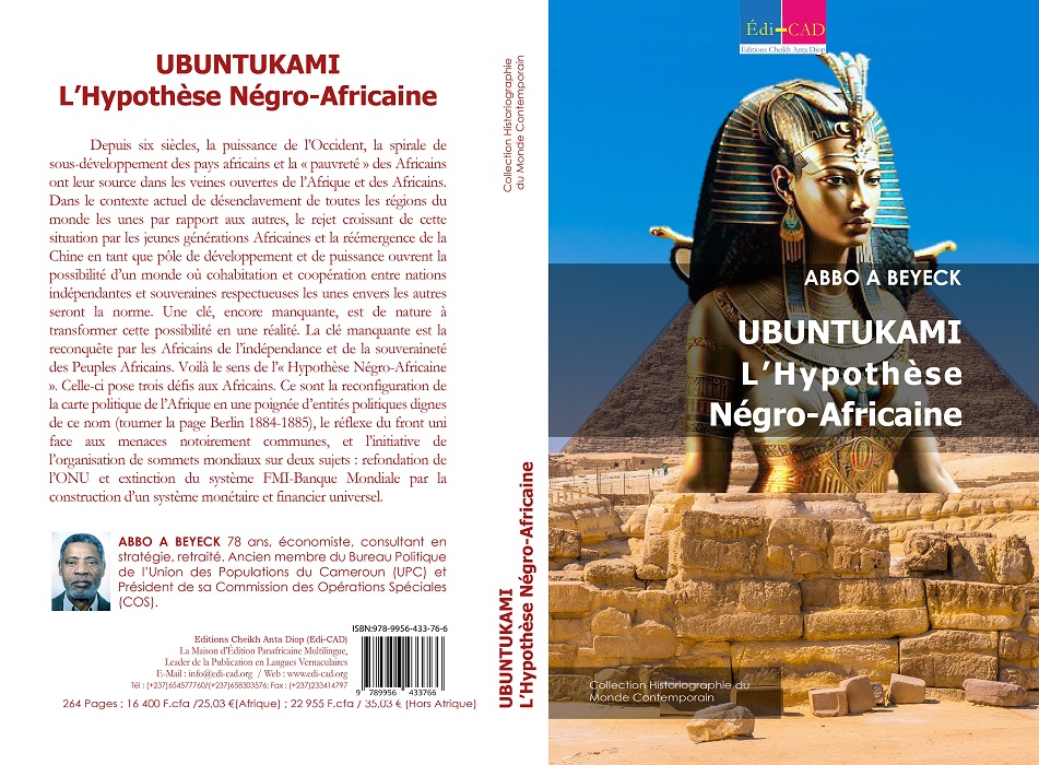 UBUNTUKAMI : L’Hypothèse Négro-Africaine